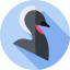 Anonymous avatar